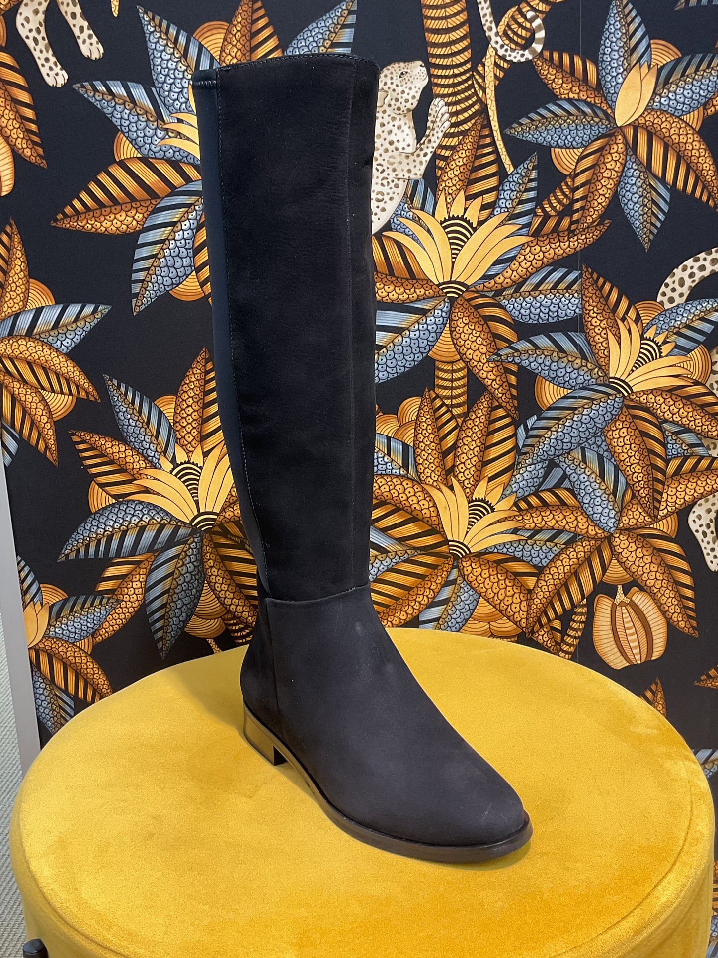 Bottes Cavalières Élastique
