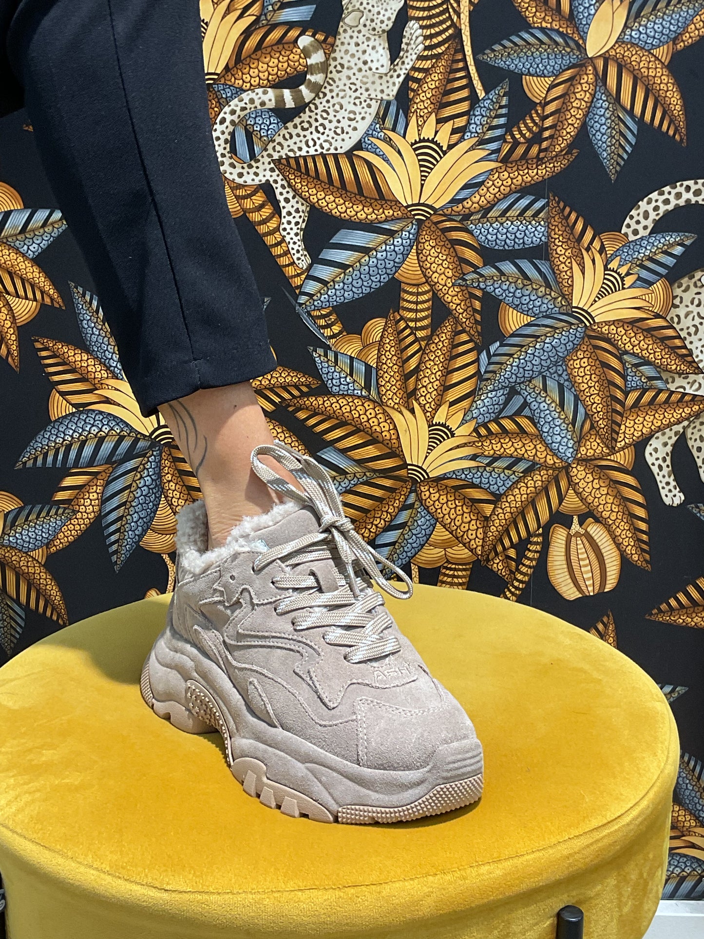 Baskets Ash