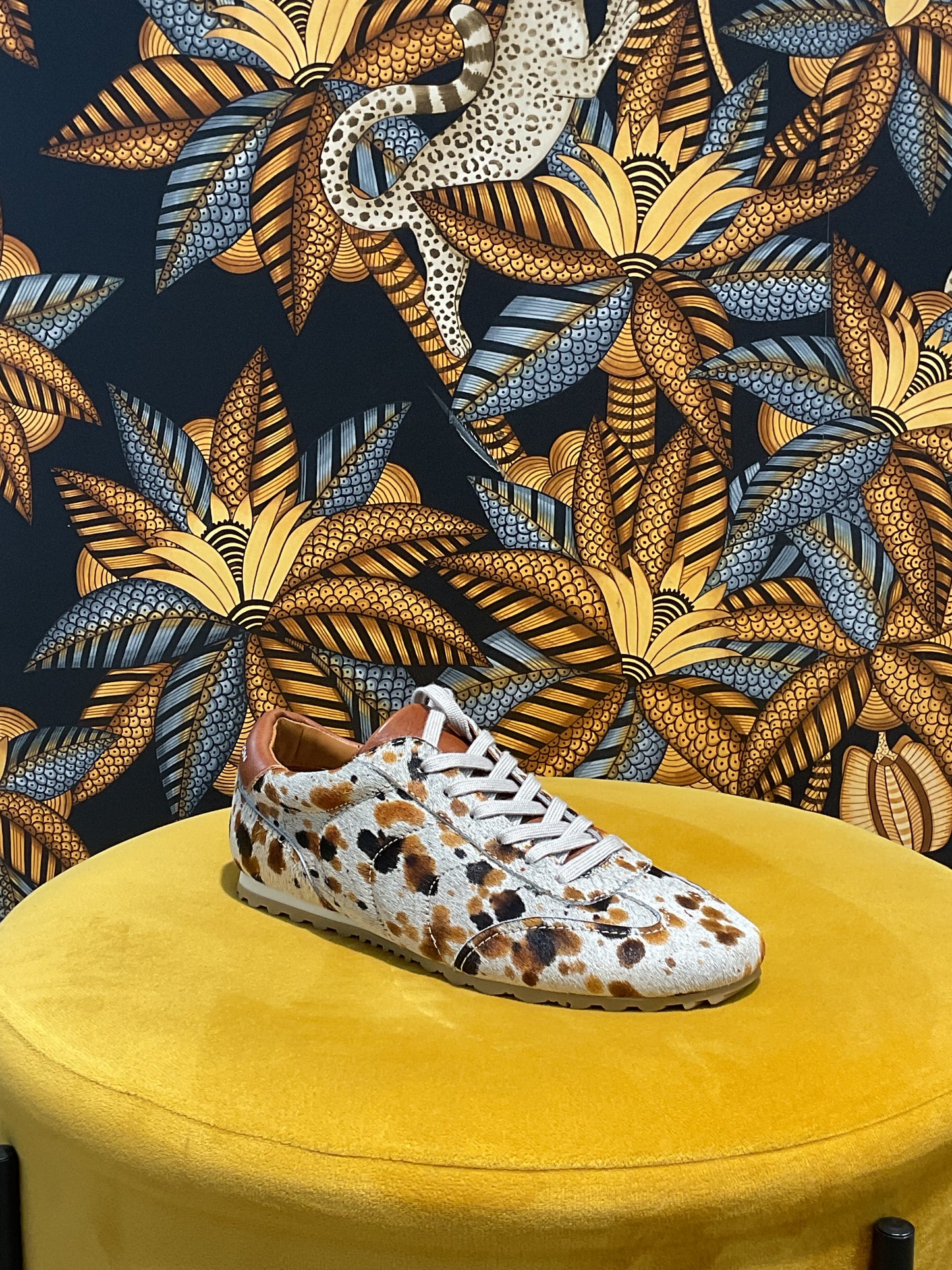 Baskets Motifs Vache