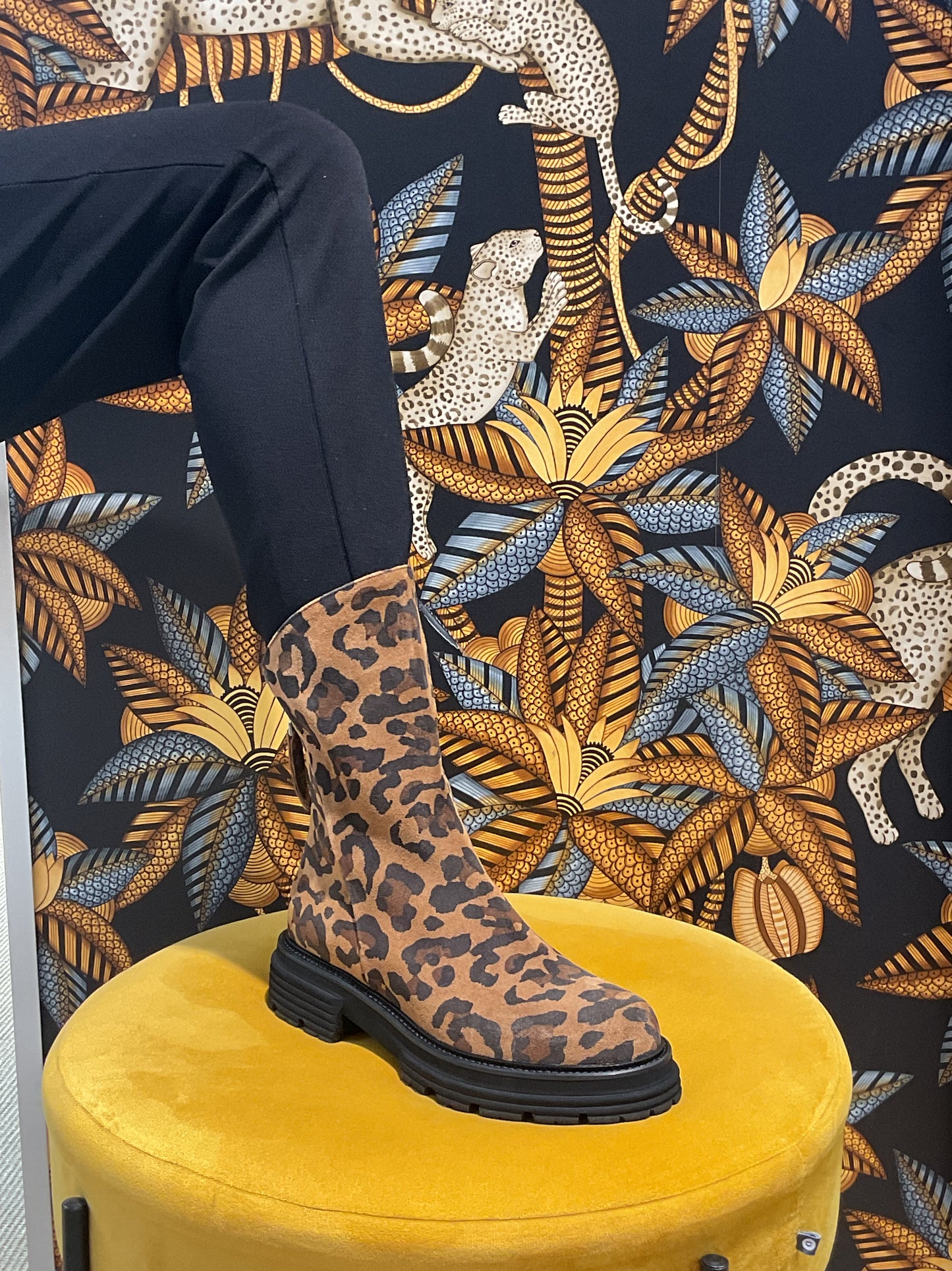 Bottines Fermeture Arrière