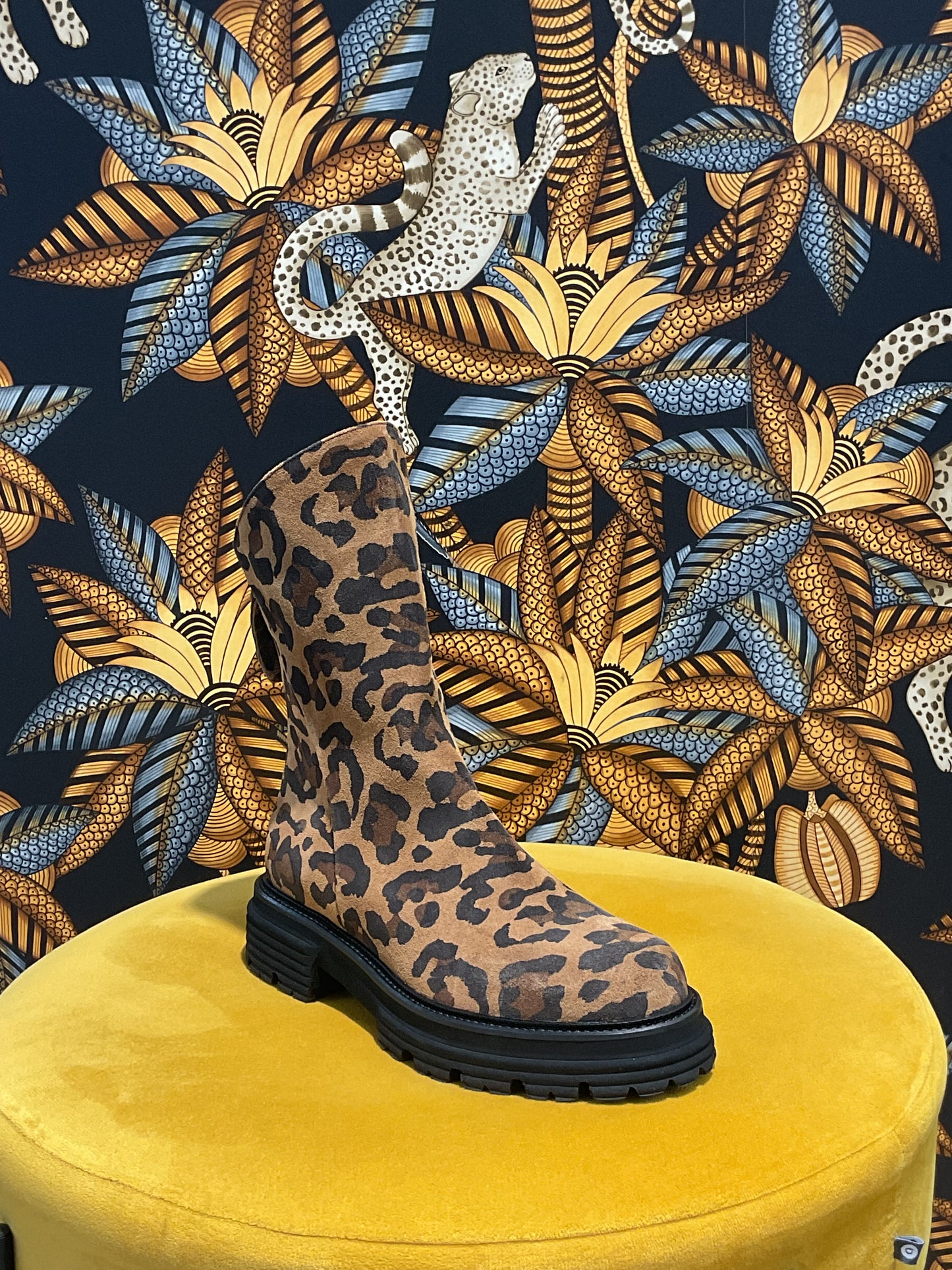Bottines Fermeture Arrière