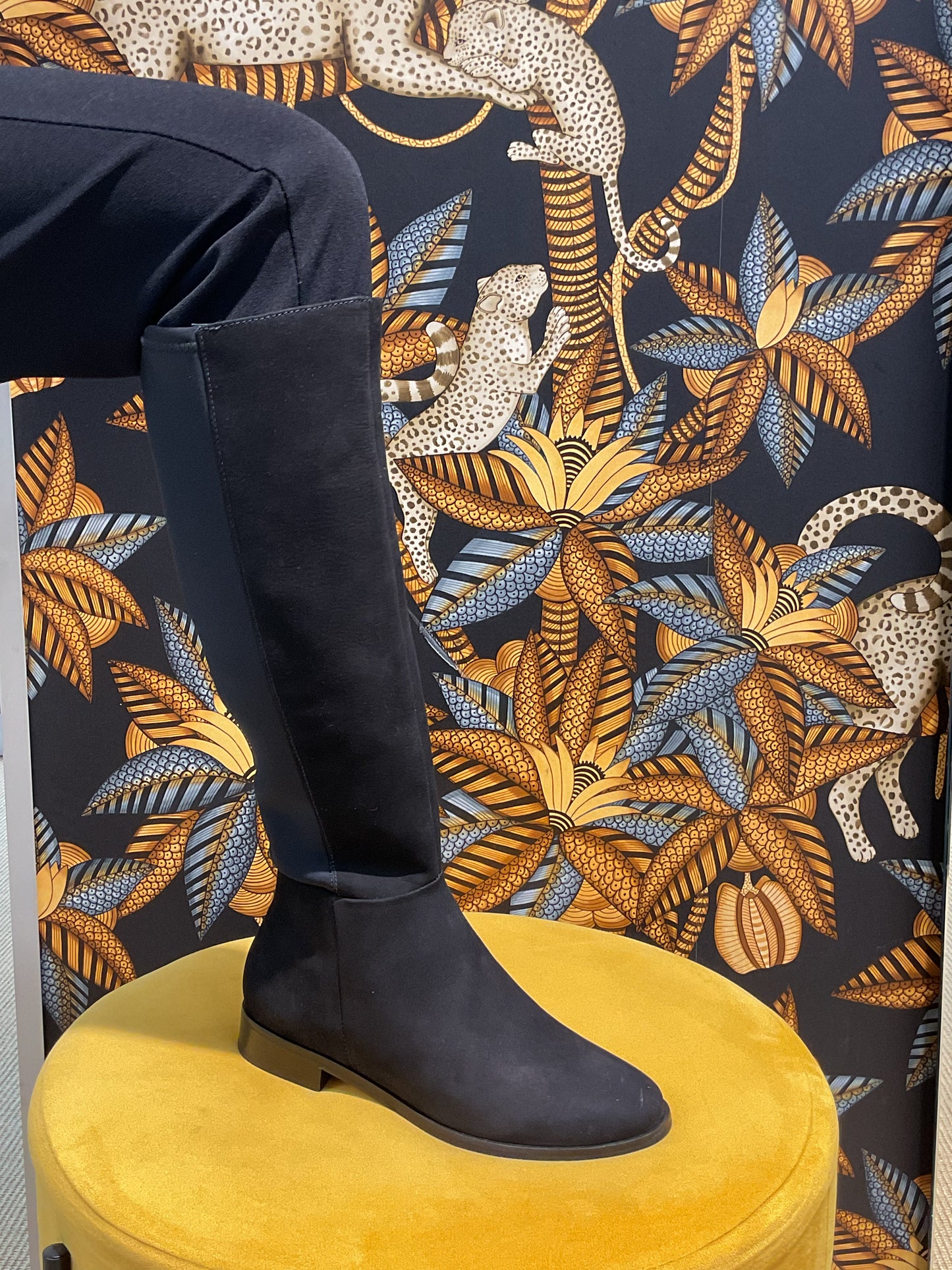 Bottes Cavalières Élastique