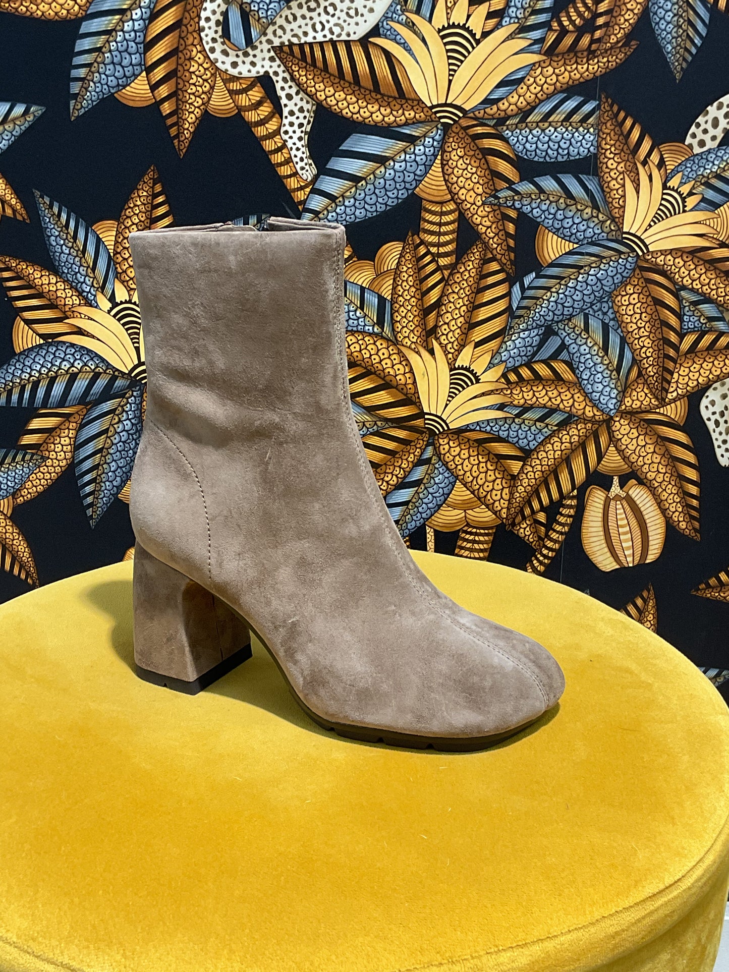 Bottines Ash