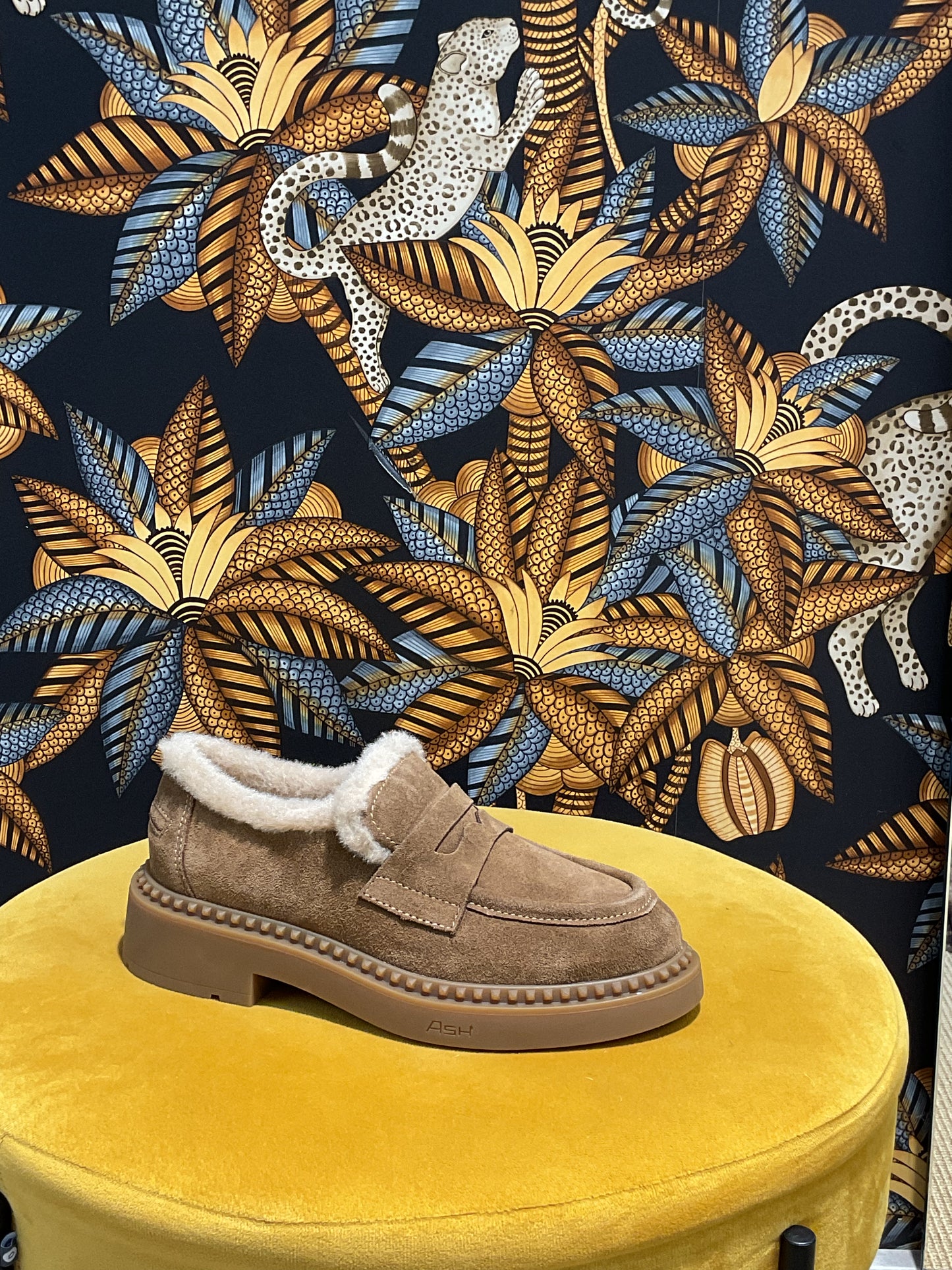 Mocassin Ash fluffy